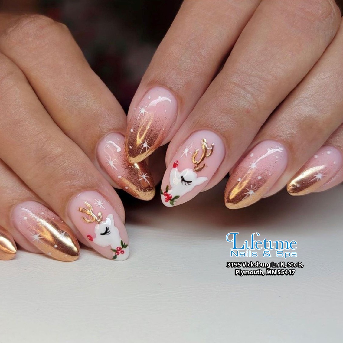 Lifetime Nails & Spa Plymouth, MN 55447